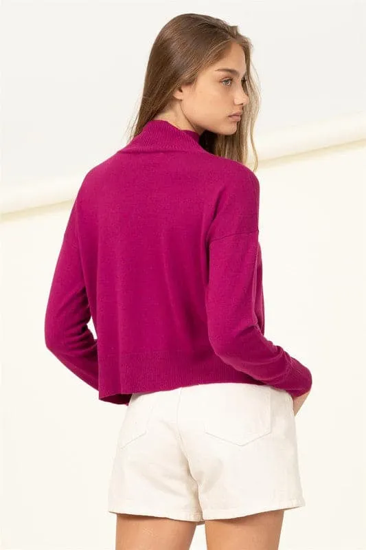 Cozy Up High Neckline Sweater