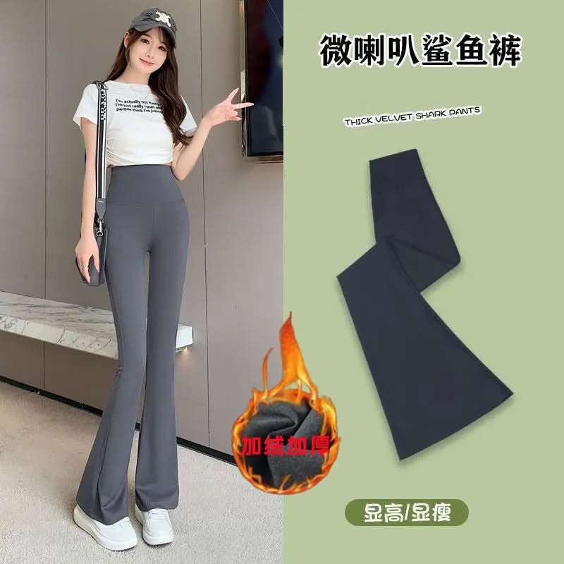 Women's Slim Fit Micro-Flared Shark Pants