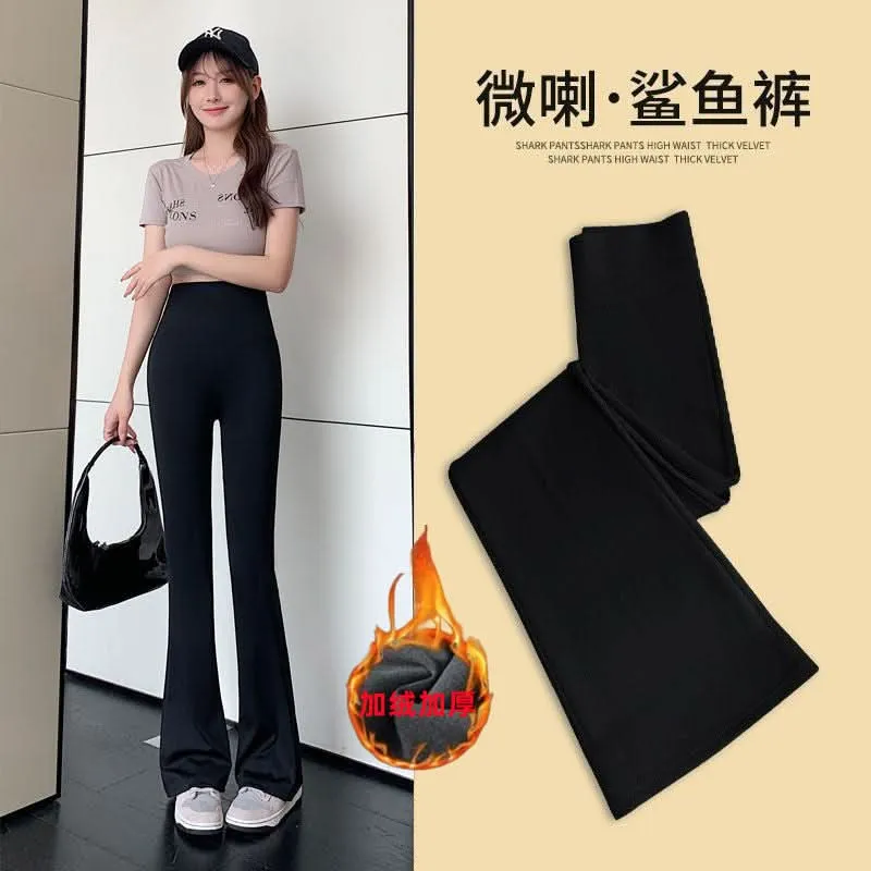 Women's Slim Fit Micro-Flared Shark Pants
